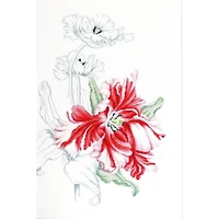 Luca-s Tulips Counted Cross Stitch Kit