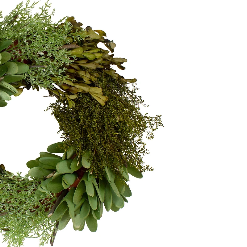 14" Green Cedar Succulent & Day Grass Artificial Spring Wreath