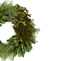 14" Green Cedar Succulent & Day Grass Artificial Spring Wreath