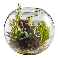 8" Mix Succulent Garden in Glass Vase