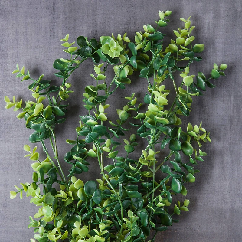 Green Hanging Eucalyptus Bush by Ashland®