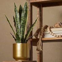 The Novogratz 20" Green Snake Faux Foliage Artificial Plant with Gold Porcelain Pot