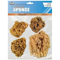 Royal Brush Wool Sponge Set