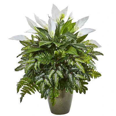2.5ft. Mixed Peace Lily in Green Planter
