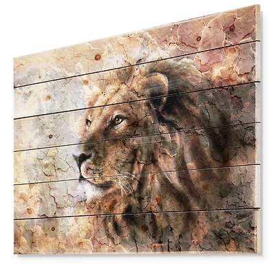 Designart - Peaceful Lion