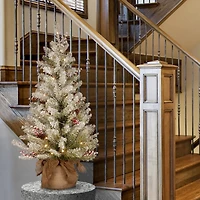 3ft. Pre-Lit Dunhill® Fir Artificial Christmas Tree, Warm White LED Lights