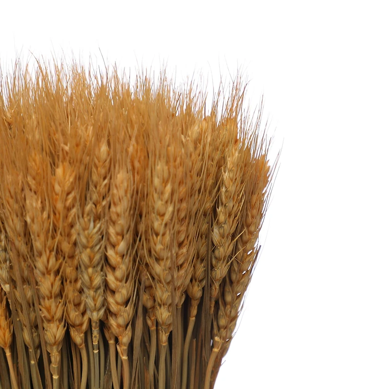 11.75" Natural Wheat Bundle Tabletop Décor by Ashland®