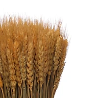 11.75" Natural Wheat Bundle Tabletop Décor by Ashland®