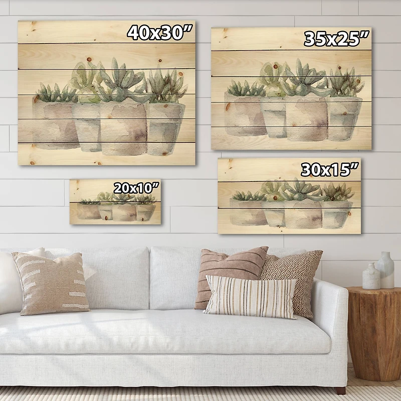 Designart - Cactus and Succulent House Plants III