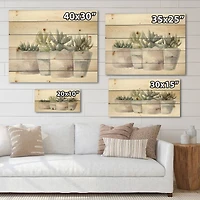 Designart - Cactus and Succulent House Plants III