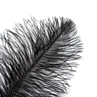 John Bead 11"-13" Ostrich Drab Feather