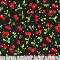 Robert Kaufman Summertime Cotton Fabric