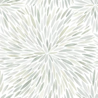 RoomMates Green Cat Coquillette Burst Peel & Stick Wallpaper