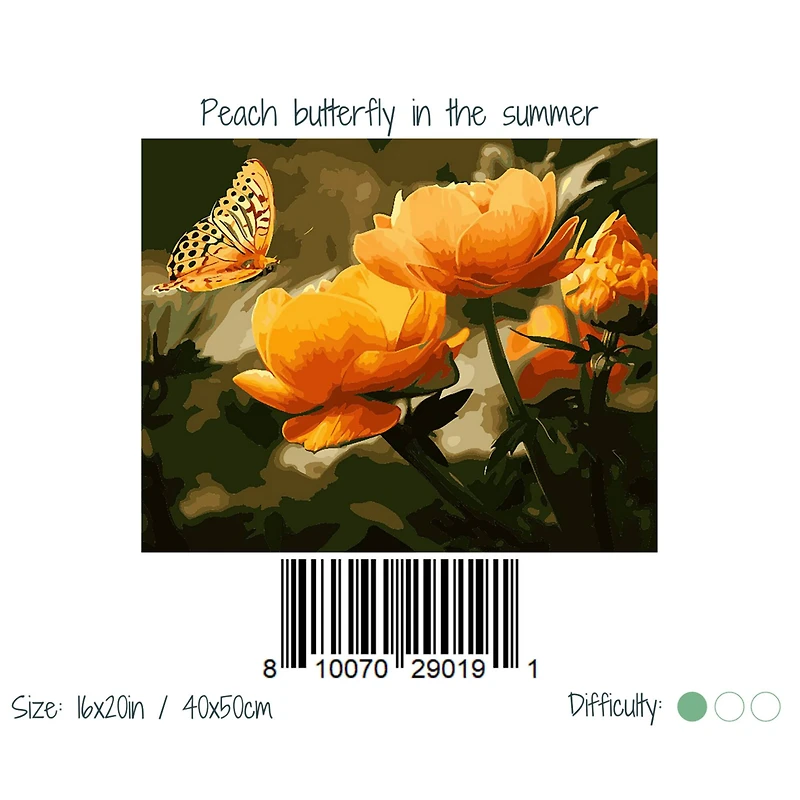 Winnie's Picks Peach Butterfly in the Summer Adult Paint by Numbers Kit