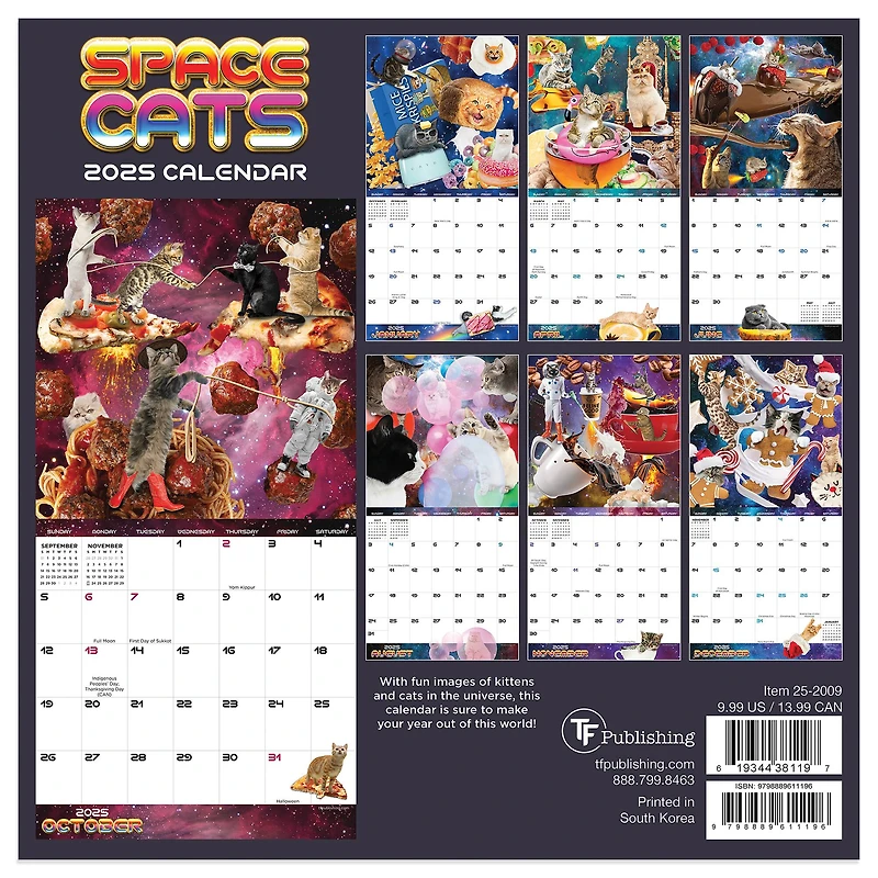 TF Publishing 2025 Space Cats Mini Calendar