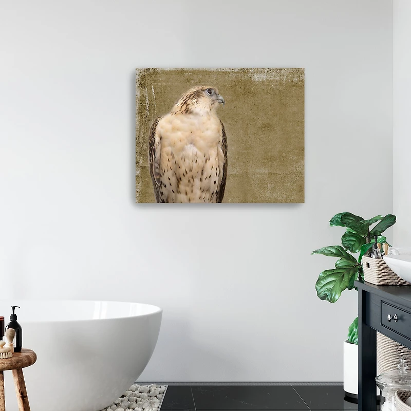 Falcon I Canvas Giclee
