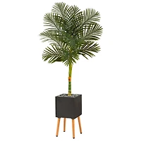 6ft. Golden Cane Palm Tree in Black Planter with Stand