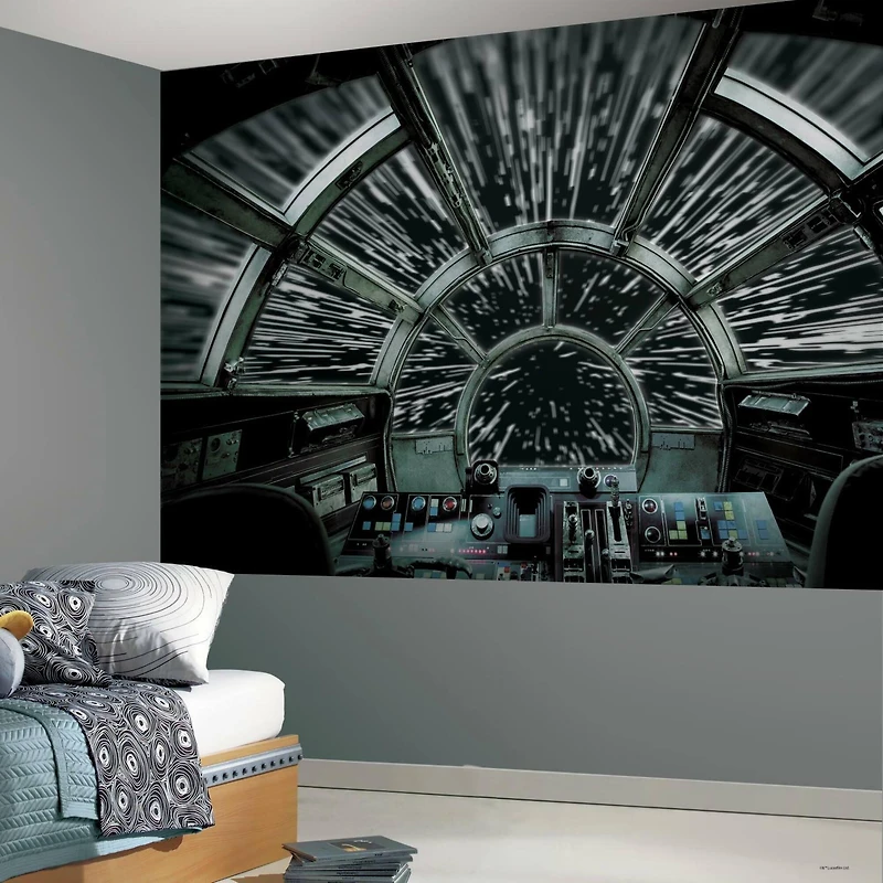 RoomMates Star Wars Millennium Falcon Peel & Stick Mural