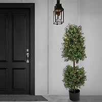 4ft. Pre-Lit Boxwood Cone & Ball Topiary In Nursery Pot