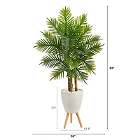5ft. Areca Palm Tree in White Planter with Stand