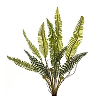 17.5" Varigated Fern Foliage Bushes, 6ct.