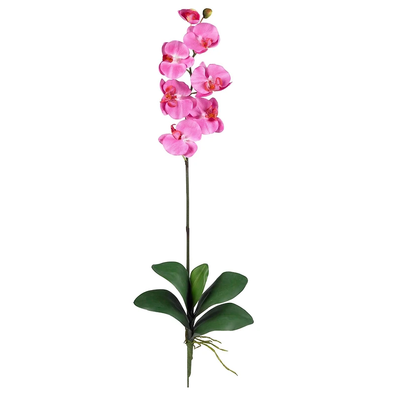 Dark Pink Moth Orchid Stem, 6ct.