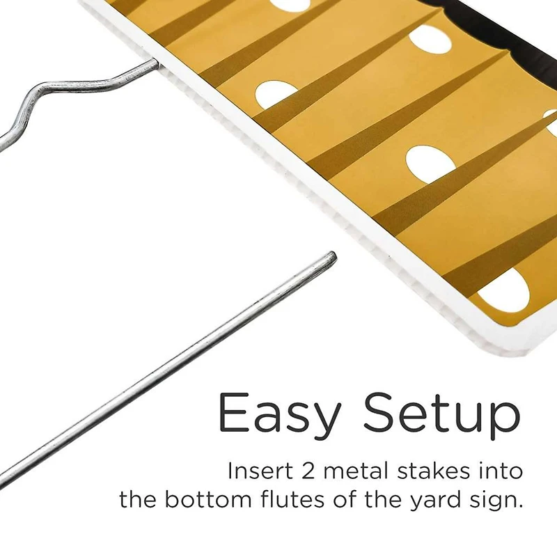 Kate Aspen® Black & Gold Birthday Yard Sign Set