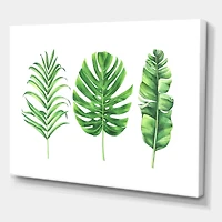 Designart - Tropical Leaf Of Monstera IV