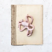 Hello Honey® 6.75" Pink Stoneware Octopus Accent Décor with Reactive Glaze