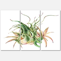 Designart - Tropical Leaves Air Plant Succulent