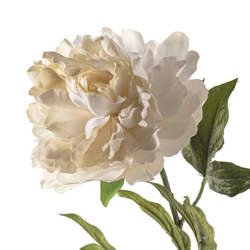 White Peony Stem by Ashland®