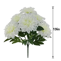 19" Dahlia Bush by Ashland
