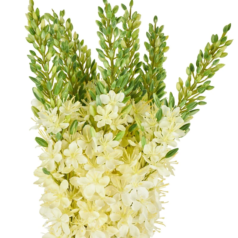 34" White Eremurus Artificial Flower Stem, 8ct.