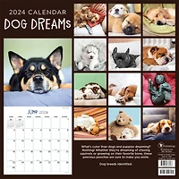 TF Publishing 2024 Dog Dreams Wall Calendar