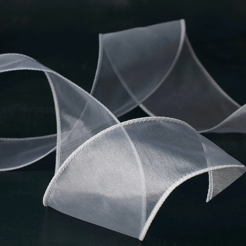 2.5" x 10yd. Sheer Wired Ribbon by Celebrate It® Specialty