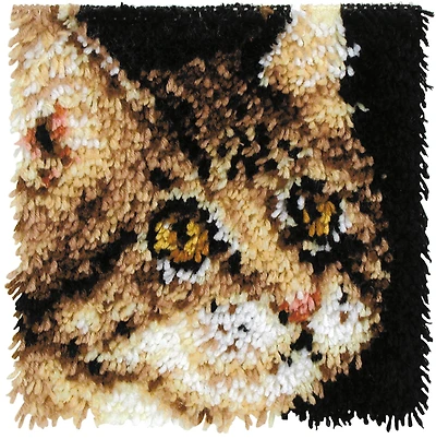 Wonderart® Tabby Latch Hook Kit