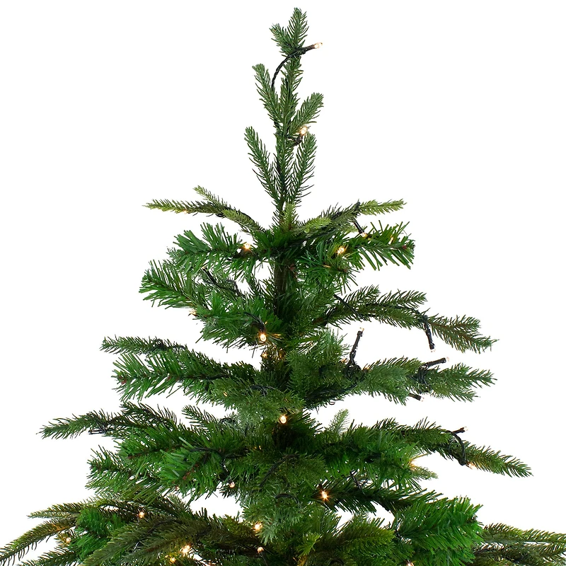 6.5ft. Pre-Lit Roosevelt Fir Artificial Christmas Tree, Warm White LED Lights