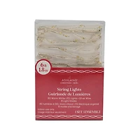 80ct. Warm White LED Firecracker String Lights on Silver Wire by Ashland®