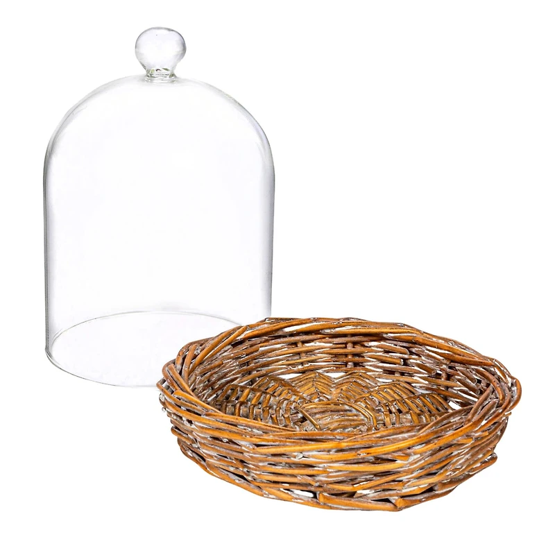 Hello Honey® 6" Round Clear Glass Cloche with Woven Willow Base