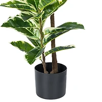4ft. Potted Artificial Dumb Cane Tree