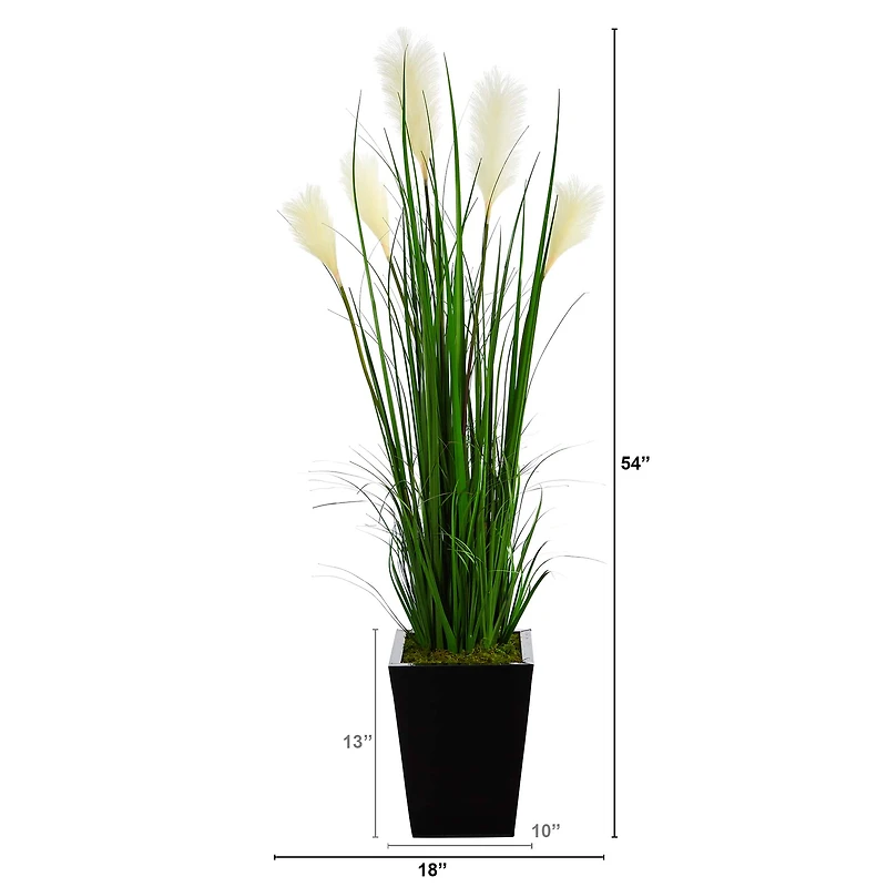 4.5ft. Wheat Plume Grass Plant in Black Metal Planter