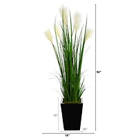 4.5ft. Wheat Plume Grass Plant in Black Metal Planter