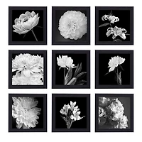 Melannco 9 Pack Black 8" x 8" Wall Frames