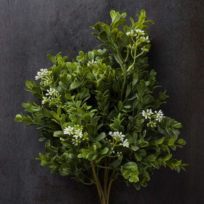 8 Pack: Boxwood & Berry Bush by Ashland®