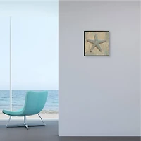 Stupell Industries Nautical Starfish Ocean Animal Muted Neutral, 12" x 12"