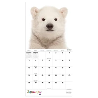 TF Publishing 2025 Baby Animals Mini Calendar
