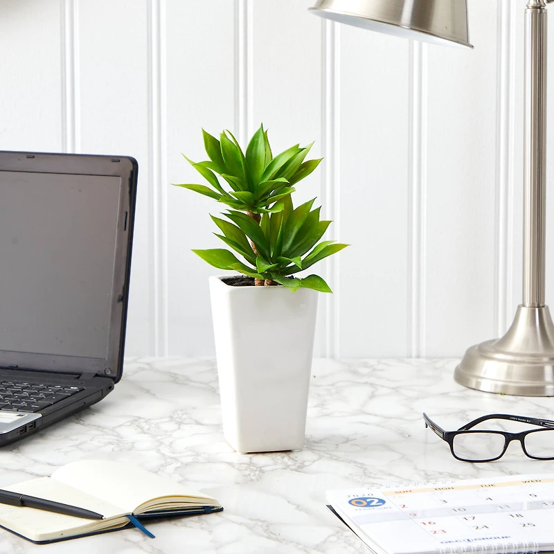 11.5" Double Mini Agave Succulent in White Planter