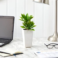 11.5" Double Mini Agave Succulent in White Planter