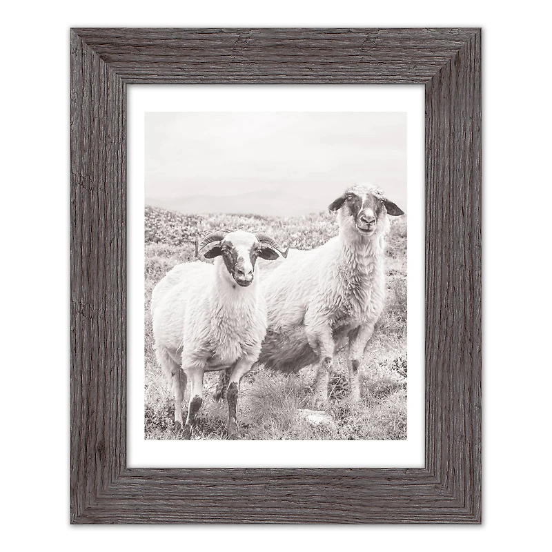 Sheep on Hill Western Framed Print