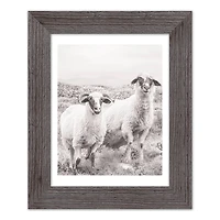 Sheep on Hill Western Framed Print